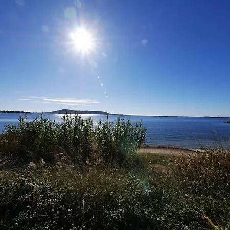 Succulente * Bouzigues