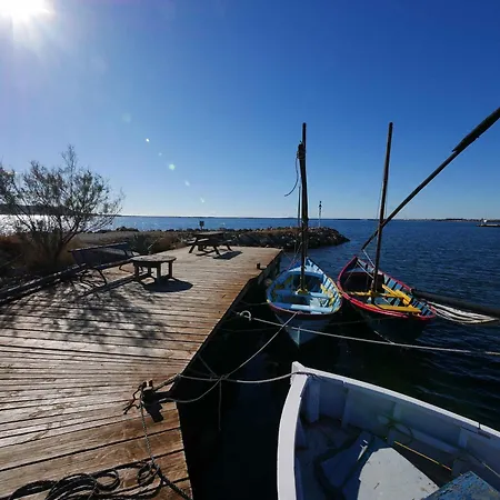 Succulente Bouzigues