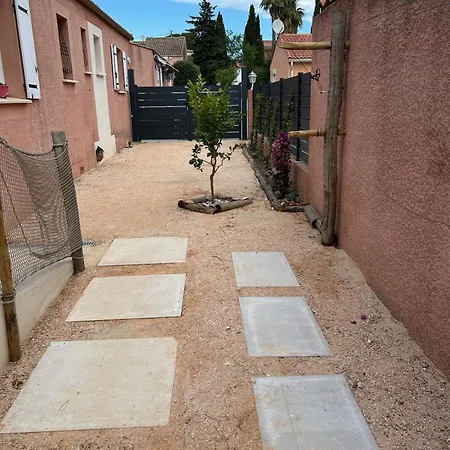 Succulente Bouzigues